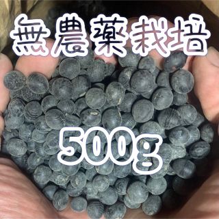 丹波黒豆【無農薬栽培】(米/穀物)