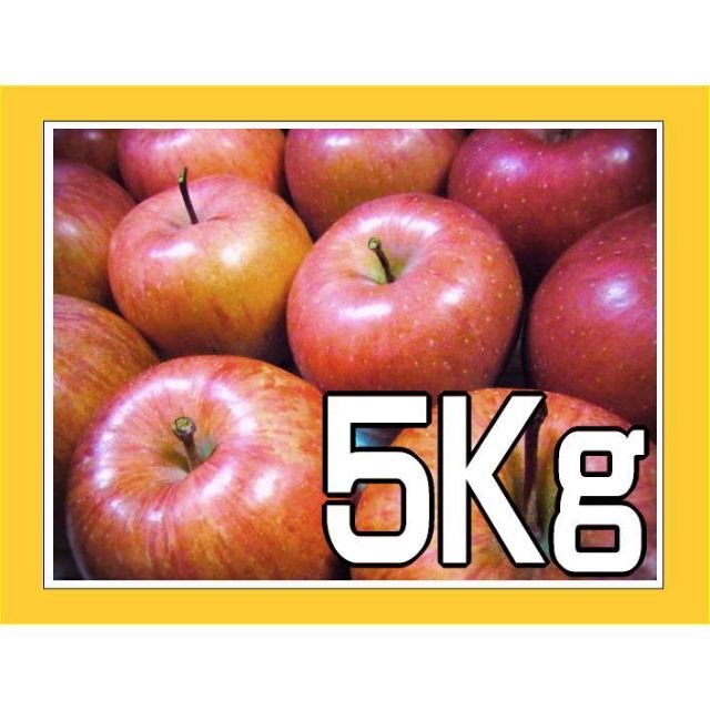5キロ以上】サンフジ 家庭用 りんご 【訳ありリンゴ】サンふじ