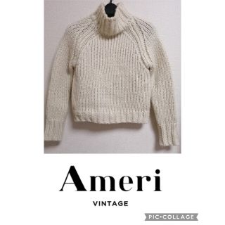 アメリヴィンテージ タートルネック ニット/セーター(レディース)の
