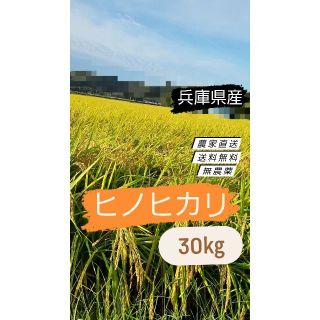 令和4年】ひのひかり ヒノヒカリ 新米 玄米 農薬：栽培期間中不使用 30kg(米/穀物)