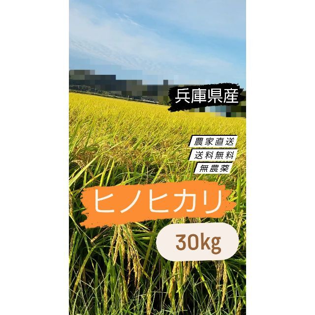 令和4年】ひのひかり ヒノヒカリ 新米 玄米 農薬：栽培期間中不使用 30kg