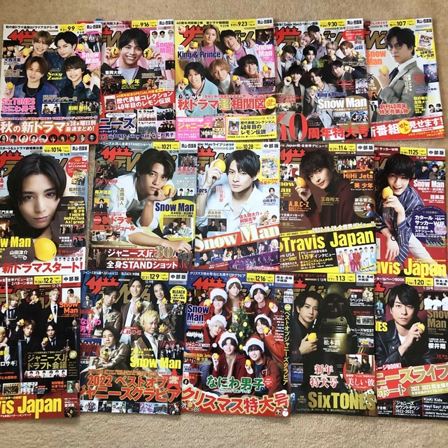 ザテレビジョン 2022 2023 45冊セット # bhartienviro.com