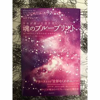 宇宙が描いた設計図 魂のブループリント / エルアシュール(住まい/暮らし/子育て)