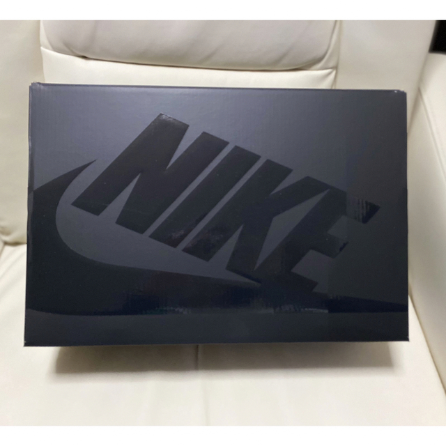 NIKE(ナイキ)のNIKE DUNK HI/F ナイキ ダンク フラグメント25.5cm メンズの靴/シューズ(スニーカー)の商品写真