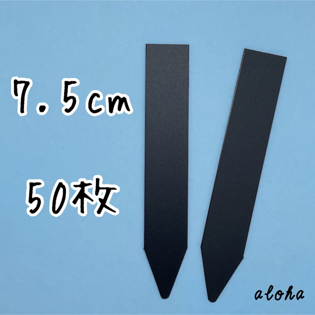 ブラック　50枚 多肉植物 アガベ サボテンに◎ 園芸用 ラベル ネームラベル ハンドメイドのフラワー/ガーデン(その他)の商品写真