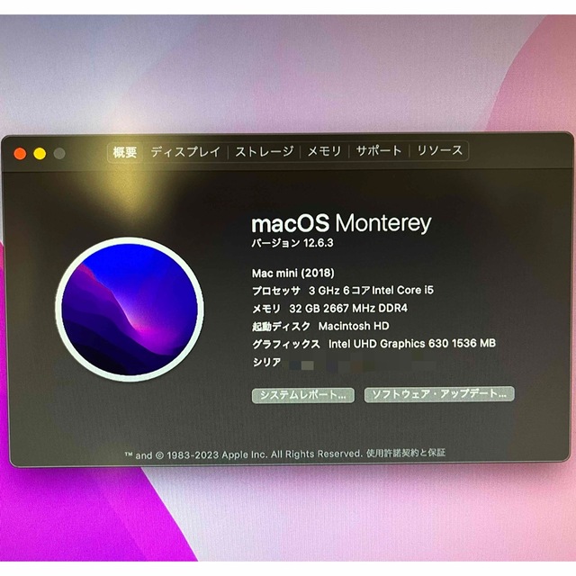 Mac mini 2018 i5 SSD:256GB メモリ:32GB - デスクトップ型PC