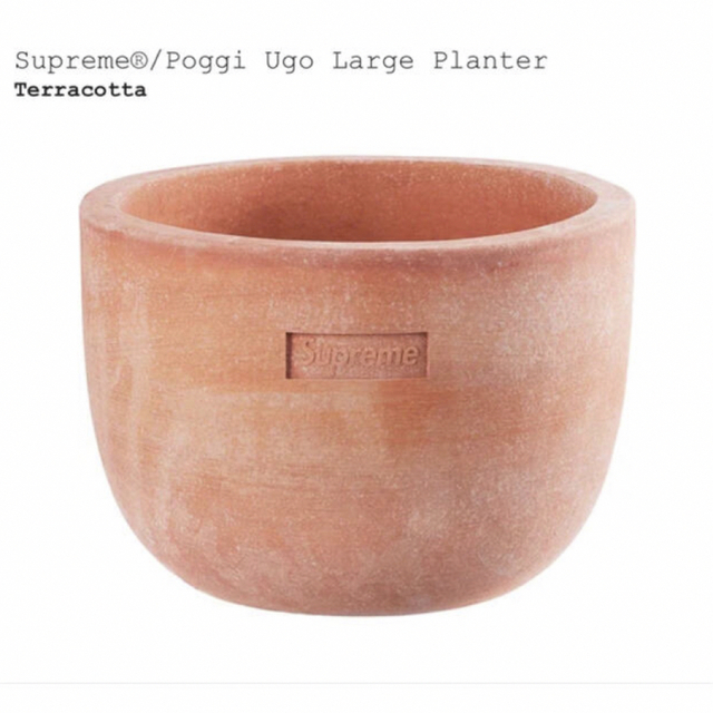 Supreme Poggi Ugo LargePlanterTerracottaフラワー/ガーデン