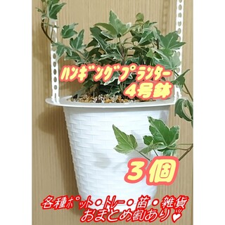 ハンギングプランター4号鉢【5T-4】3個 プラ鉢 吊鉢 多肉プレステラ観葉植物(プランター)