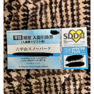六甲山　平日限定　入場券＋リフト券(スキー場)