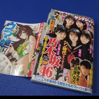 ノギザカフォーティーシックス(乃木坂46)のウマ娘 ブックカバー付録 週刊ヤングジャンプ  4,5号  応募用紙無(アート/エンタメ/ホビー)