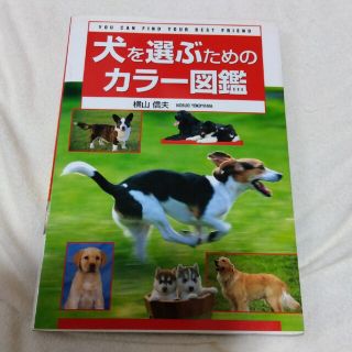 犬を選ぶためのカラー図鑑(その他)