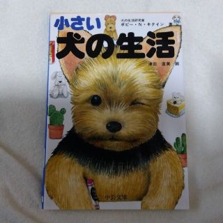 小さい犬の生活・津田直美(住まい/暮らし/子育て)