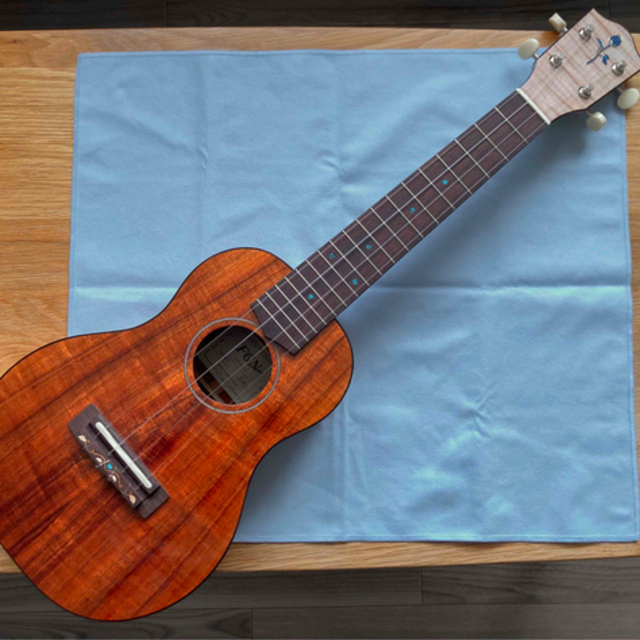 人気カラーの FGN フジゲンコンサートウクレレ FUS-TC コンサート