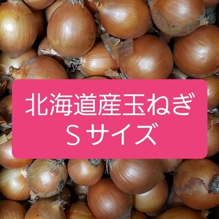 北海道産　玉ねぎ　Ｓサイズ　約１０キロ(野菜)