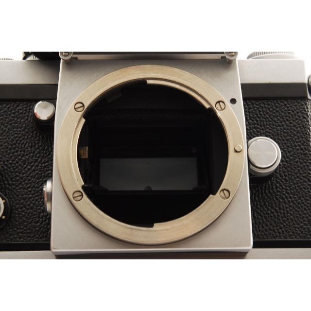 レオパードフラワーブラック 美品 NIKON FTn フォトミック シルバー