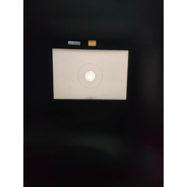 美品 ニコン F3 MD-4 フィルム モルト新品交換済 防湿庫管理 Y439 通販