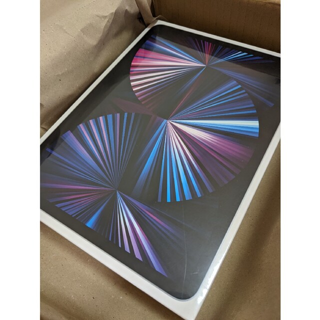 iPad - Apple iPad Pro11インチ第3世代512Gシルバー　おまけ付き