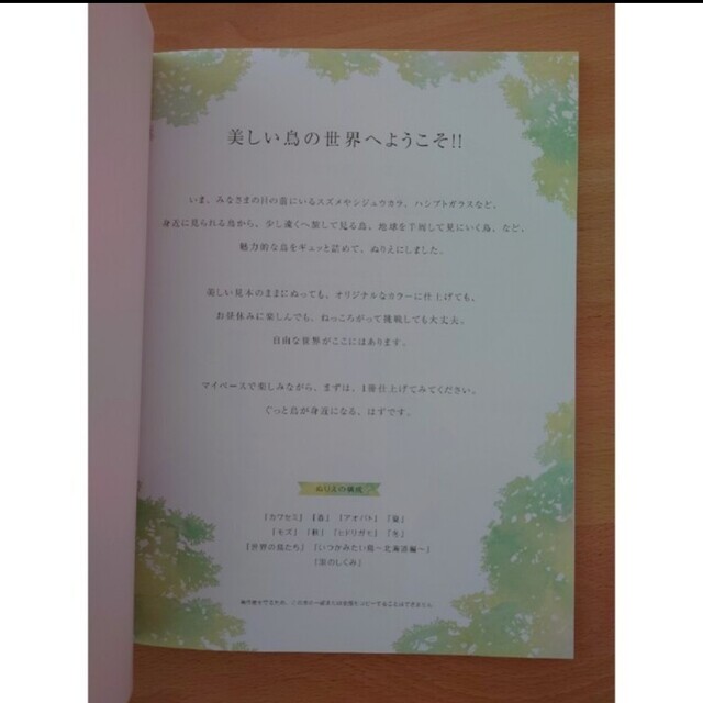 [3/20]ぬりえでバードウォッチング 日本野鳥の会が作りたかったぬりえ エンタメ/ホビーのアート用品(その他)の商品写真