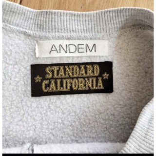 Standard California × Champion × Andem
