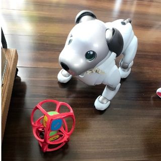 ソニー(SONY)のaibo ERS-1000(その他)