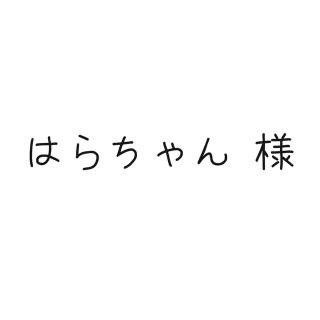 はらちゃん様　専用ページ(その他)