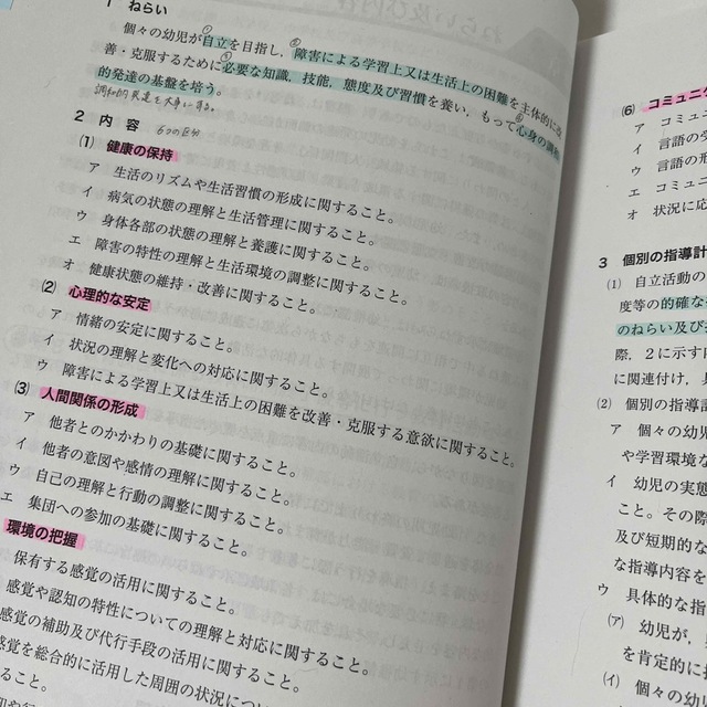 特別支援学校幼稚部教育要領　小学部・中学部学習指導要領 平成２９年４月告示 エンタメ/ホビーの本(人文/社会)の商品写真