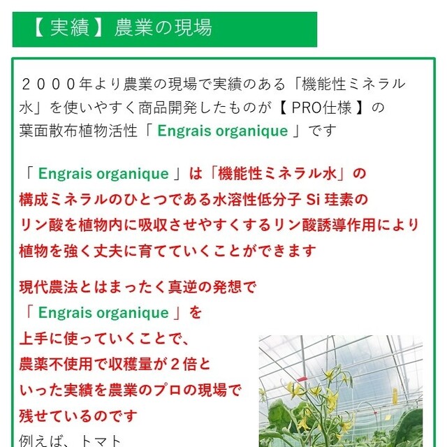 葉面散布植物活性 Engrais organique【PRO仕様】100ml 食品/飲料/酒の食品(フルーツ)の商品写真
