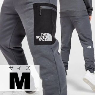 ザノースフェイス(THE NORTH FACE)の新品未使用【TheNorthFace】Bondi Woven カーゴジョガー M(その他)