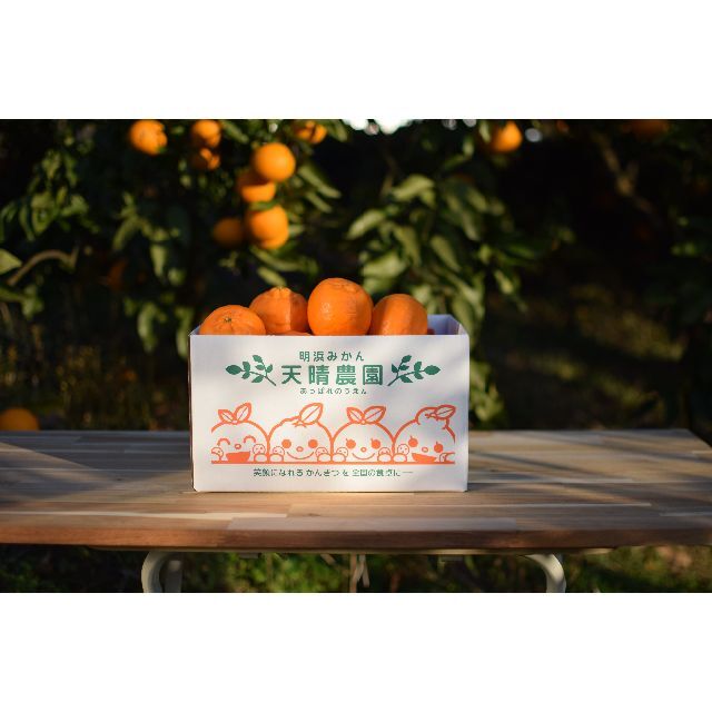 🍊甘コク🍊天晴ぽんかん　３ｋｇ（訳あり品） 食品/飲料/酒の食品(フルーツ)の商品写真