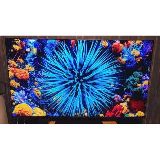 SHARP AQUOS XLED 4T-C65DP1 液晶テレビ シャープ 4K(テレビ)