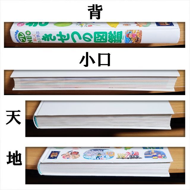 小学館の子ども図鑑プレNEO　きせつの図鑑／長谷川 康男【あんしん補償】 エンタメ/ホビーの本(絵本/児童書)の商品写真