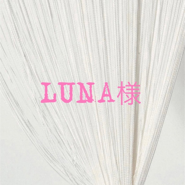 LUNA様 コスメ/美容のネイル(つけ爪/ネイルチップ)の商品写真