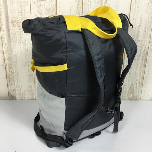 パタゴニア ライトウェイト トラベル トート パック 22L Lightweight Travel Tote Pack 22L PATAGONIA 48808 グレー系