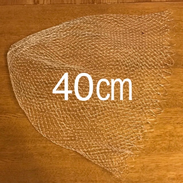 新品未使用】 タモ網 40cm ナイロン 網目約１cm ベイト小魚採取に最適！