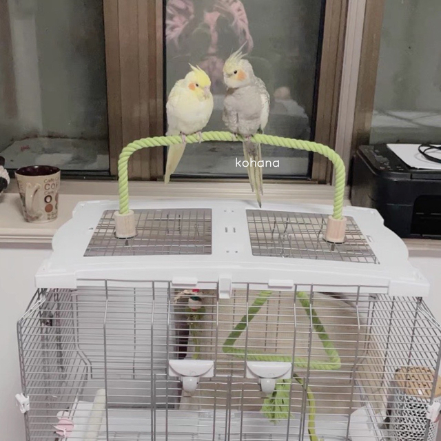 止まり木　ロープパーチ　鳥用品　鳥かご　バードトイ　インコ　ブランコ　小動物