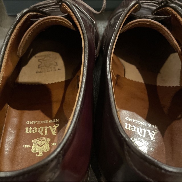 オールデン alden D5519 コードバン バーガンディ#8 8.5D