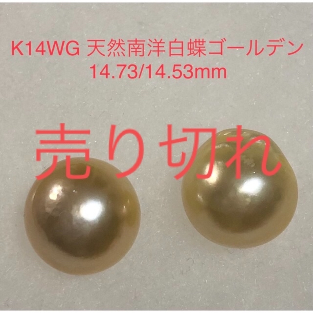 K14WG 天然南洋白蝶ゴールデン真珠ピアス　14.53/14.73mm