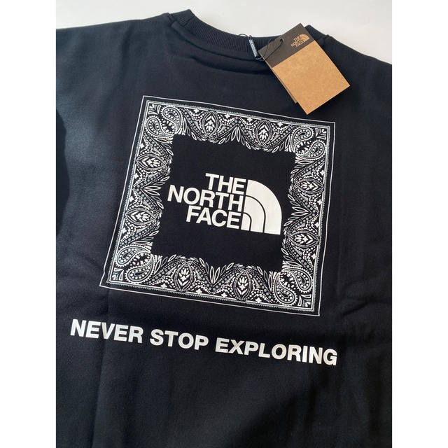 THE NORTH FACE - 【Lサイズ】新品 THE NORTH FACE バンダナ ...