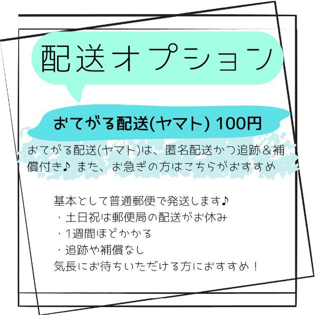 ポイント艶リング4mm 号 金属アレルギー対応 ステンレス レディースのアクセサリー(リング(指輪))の商品写真