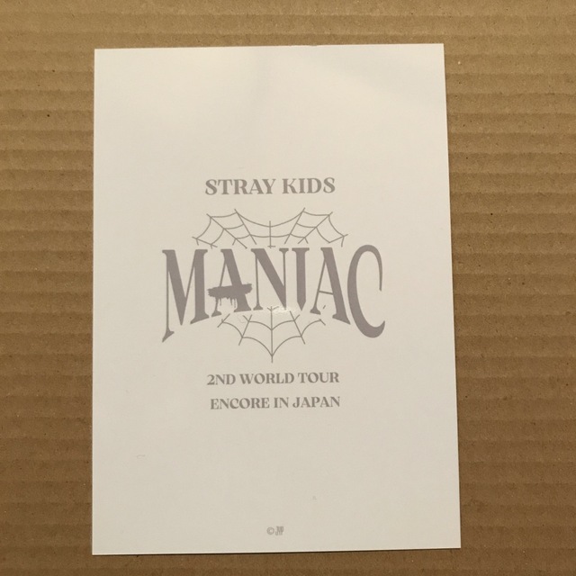 Stray Kids(ストレイキッズ)のstray kids MANIAC アンコン ラントレ　チャンビン エンタメ/ホビーのCD(K-POP/アジア)の商品写真