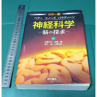 神経科学―脳の探求(健康/医学)