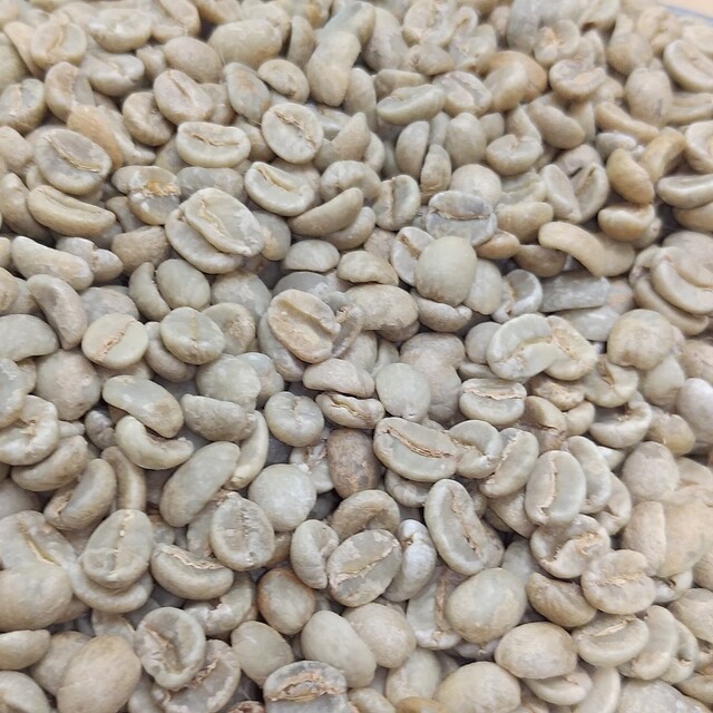 残りわずか】 ⑧ハッピーアワー ケニヤコーヒー生豆 1200グラム