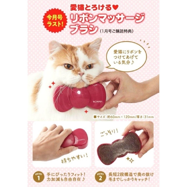 ねこのきもち】付録 フード おやつ おまとめ売り ペット用品 ねこのきもち】付録 フード おやつ おまとめ売り ペット用品