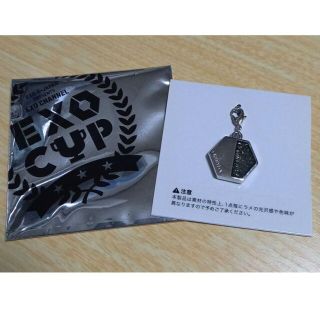 エクソ(EXO)のEXO チャニョル (ﾁｬﾝﾖﾙ)◆チャーム(アイドルグッズ)