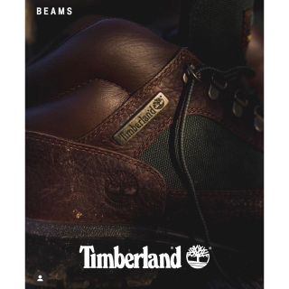 ティンバーランド(Timberland)のTimberland BEAMS 別注 Field Boots 26.5cm(ブーツ)