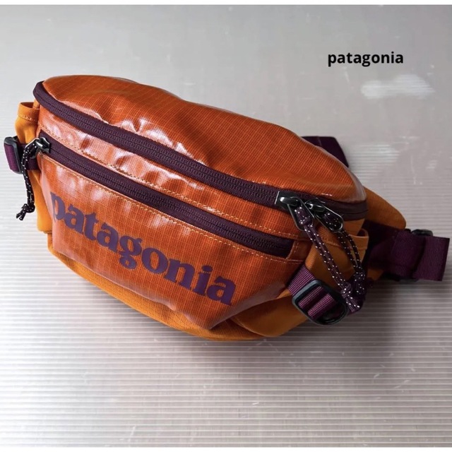 沖縄・離島除く全国届 patagonia ブラックホールウエストパック5L【未