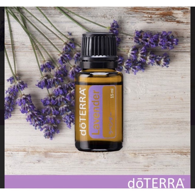 doTERRA(ドテラ)の新品未開封　ドテラ　ラベンダー　15ml コスメ/美容のリラクゼーション(エッセンシャルオイル（精油）)の商品写真