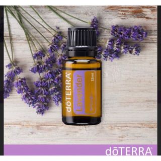 ドテラ(doTERRA)の新品未開封　ドテラ　ラベンダー　15ml(エッセンシャルオイル（精油）)