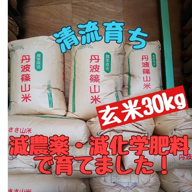 丹波篠山清流育ち 兵庫県丹波篠山米 玄米30kg✕2袋(減農薬,減化学肥料栽培)