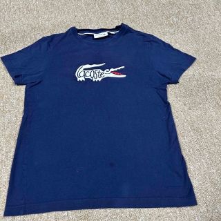 ラコステ(LACOSTE)のラコステ　レディースTシャツ(Tシャツ(半袖/袖なし))